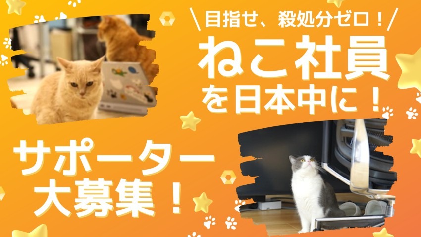 『ねこ社員』を日本中に！ 1月23日(月)クラウドファンディングでサポーター募集開始