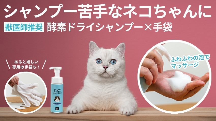 シャンプーが苦手な猫ちゃんへ！　獣医師推奨の「酵素ドライシャンプー×専用手袋」応援購入サービスMakuakeにて先行販売開始