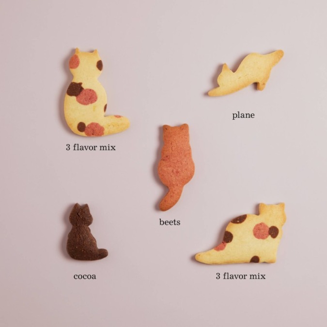 日頃の感謝の思いを込めて。ukafeで人気の猫クッキーが母の日限定セットで登場