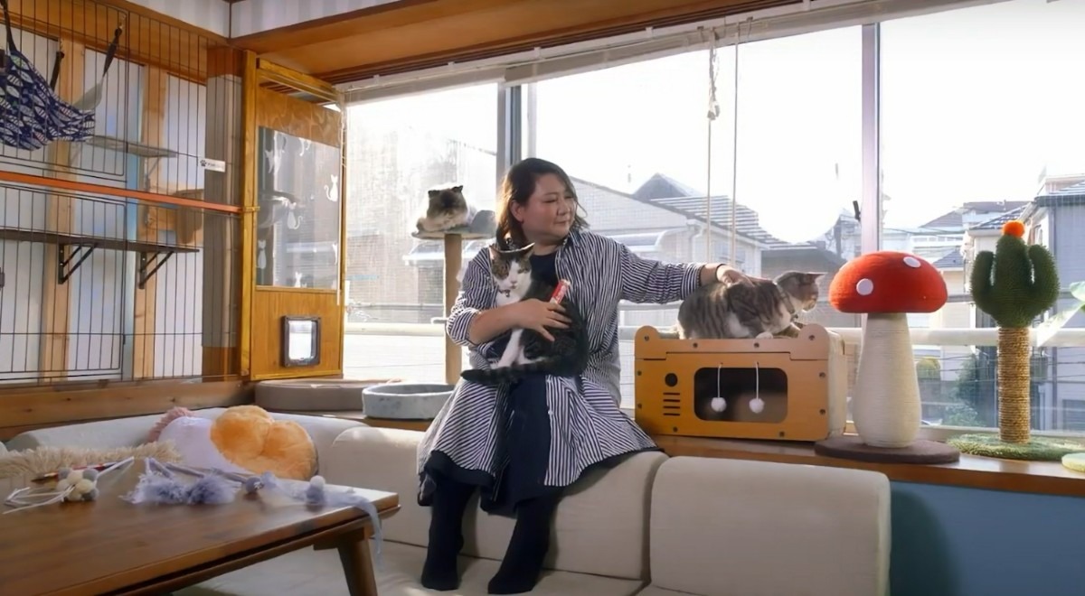 Temuを活用した保護猫シェアハウス「NYA_AGO」